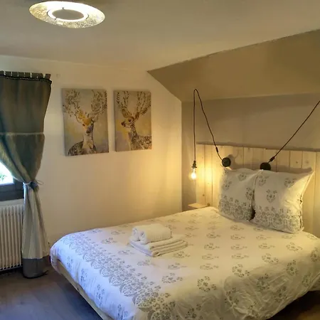 Les Sapins Bed & Breakfast Bussang Exterior photo