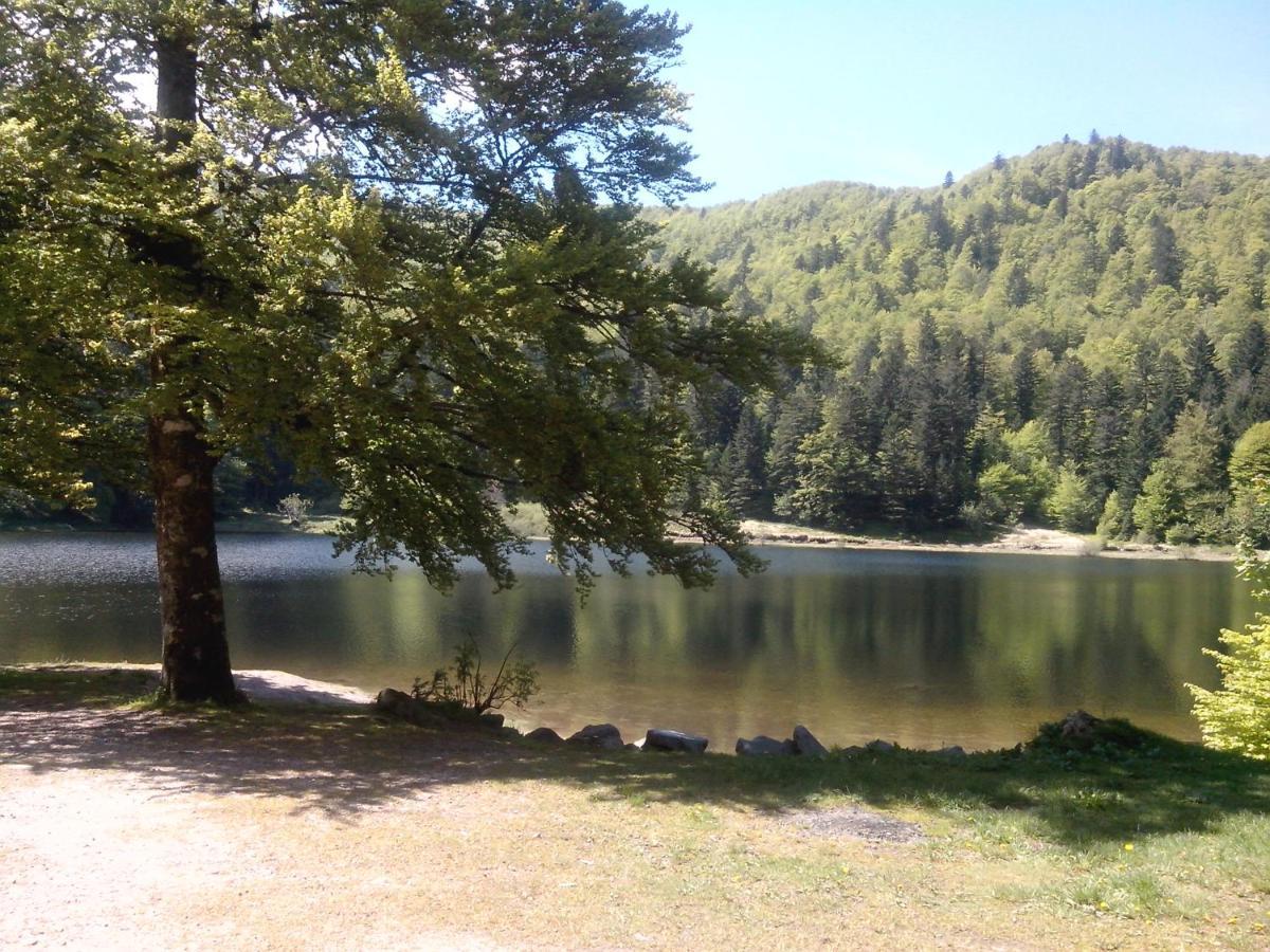 Bed & Breakfast Les Sapins Bussang